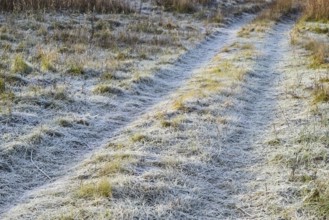 The road to the frosted grass. Krasnodar, Russia