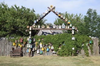 Birdhouses, the houses for birds. Taman, Krasnodar Krai, Russia