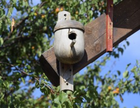 Birdhouses, the houses for birds. Taman, Krasnodar Krai, Russia
