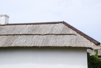 The slope of the roof of reeds and straw. Taman, Krasnodar Krai, Russia