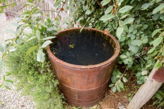 Wooden barrel filled with water. Taman, Krasnodar Krai, Russia