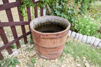 Wooden barrel filled with water. Taman, Krasnodar Krai, Russia