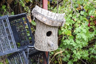 Birdhouses, the houses for birds. Taman, Krasnodar Krai, Russia