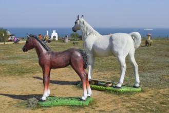 White horse and brown foal. Taman, Krasnodar Krai, Russia