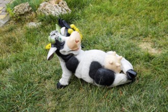Toy cow lying upside udder. Taman, Krasnodar Krai, Russia