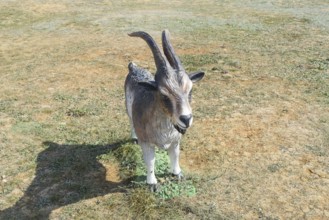 Horny goat toy.Taman, Krasnodar Krai, Russia