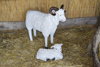 Mannequins and kid goats in the barn. Taman, Krasnodar Krai, Russia