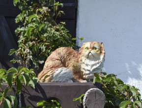 Toy cat on the fence. Taman, Krasnodar Krai, Russia