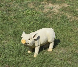 Plastic toy pig. Taman, Krasnodar Krai, Russia