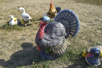 Toy turkeys and chickens in the meadow. Taman, Krasnodar Krai, Russia