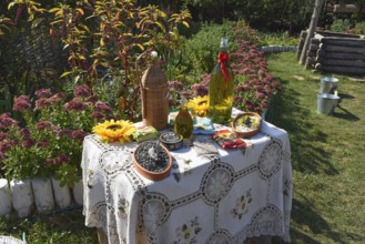 An improvised table with moonshine and sunflower seeds. Snack for vodka. Taman, Krasnodar Krai,