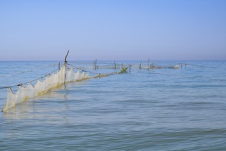 Fishing nets set in the sea. Golubitskaya, Russia