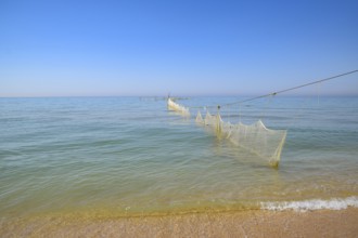 Fishing nets set in the sea. Golubitskaya, Russia
