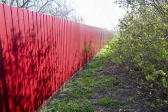 Green grass by the red fence. Atyrau, Kazakhstan