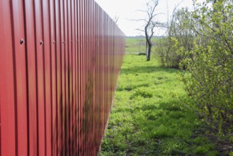 Green grass by the red fence. Atyrau, Kazakhstan