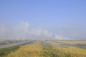Landscape burning field. Atyrau, Kazakhstan