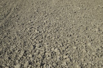 Plowed field, rows from soybean sowing. Atyrau, Kazakhstan