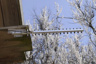 The antenna Yagi 3g for strengthening the signal Internet from a base station. Atyrau, Kazakhstan