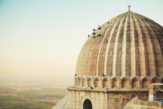 Historic dome of Ulu Cami mosque with pigeons perched, overlooking Mesopotamian plains in Mardin,
