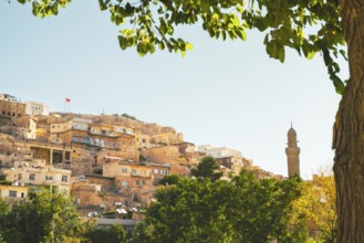 Historic stone houses of Mardin with rising minaret on hillside, framed by tree branches and summer