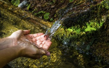Washing Hands And Catching Fresh Water From A Spring With Clear And Cold Mountain Water, Tyrol,