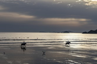 Horse Rider Galopping At Newgale Beach At The Atlantic Coast Of Pembrokeshire In Wales, United