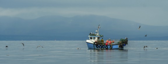 Small Fishing Boat With Lobster Pods And Seagulls On Calm Atlantic In Front Of The Hebride Islands