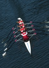 Four Male Rowers In A Quad Racing Boat With Synchronous Oar Stroke During A Regatta, Austria