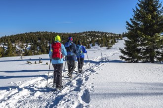 Group Of Sporty Hikers With Snowshoes On A Trail Through Winter Landscape On Mountain Rax In The