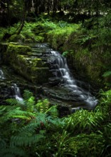 Small Long Exposured Creek With Waterfall In Mystic Forest Near Ullapool In Scotland, United