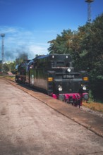 An old steam locomotive stands on the tracks next to an overgrown platform under a blue sky, Gera,