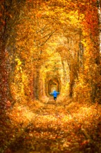 Love tunnel alley fine art in Ukraine with person running
