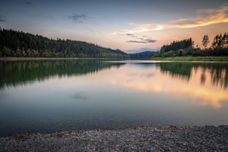 Calm reservoir with evening reflection of the forest and gentle light mood, Zeulenrodaer Meer