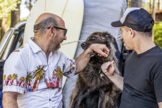 Two men and a dog smiling in the back of a pickup truck