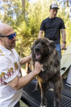 Man petting his happy dog on a surf trip