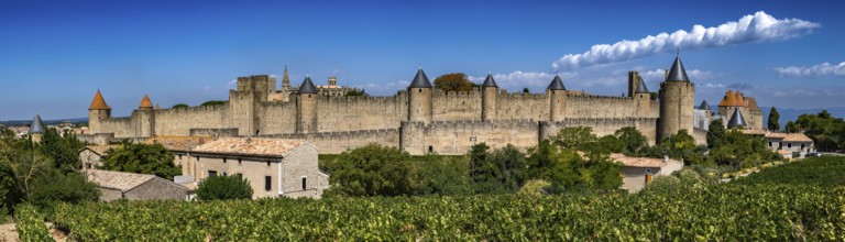 Spectacular Ancient Fortress Of Medieval City Carcassonne And Vineyards In Occitania, France