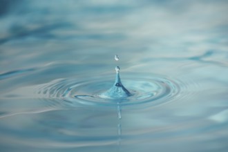 Water Drop Creates Circular Waves on Calm Surface Of Blue Water