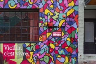 Urban-Art, wall murals, Montreal, Province of Quebec, Canada