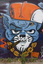 Urban-Art, wall murals, Montreal, Province of Quebec, Canada