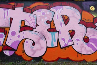 Urban-Art, wall murals, Montreal, Province of Quebec, Canada