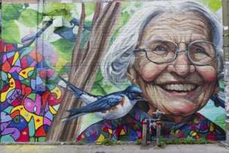 Urban-Art, wall murals, Montreal, Province of Quebec, Canada