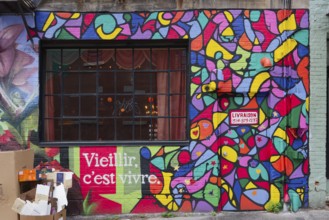 Urban-Art, wall murals, Montreal, Province of Quebec, Canada