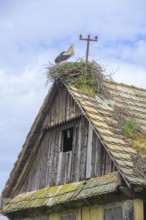 Old dilapidated wooden house with stork's nest, Cigoc, Sisak-Moslavina County, Croatia