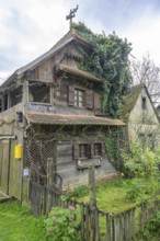 Old wooden house overgrown with ivy, Cigoc, Sisak-Moslavina County, Croatia