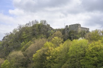 Castle ruins of Kalnik, Comuna Kalnik, Koprivnica-Križevc County, Croatia