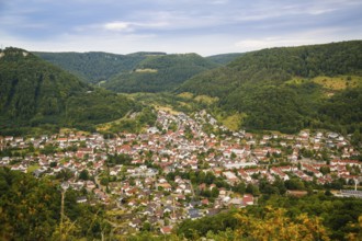 View of Lichtenstein-Unterhausen, houses, streets, buildings, trees, mountains, Unterhausen,