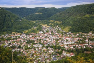 View of Lichtenstein-Unterhausen, houses, streets, buildings, trees, mountains, Unterhausen,