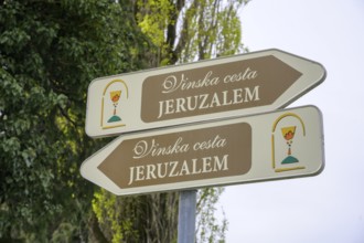 All roads lead to Jeruzalem, municipality of Ljutomer, Slovenia