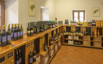 Wine shop in, Jeruzalem, municipality of Ljutomer, Slovenia
