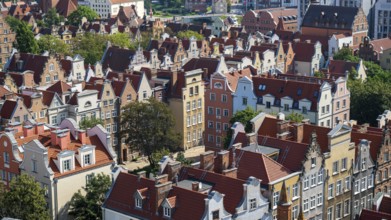 View of the Old Town, Gdansk, Gdansk, Poland